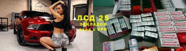 ПСИЛОЦИБИНОВЫЕ ГРИБЫ Каменногорск