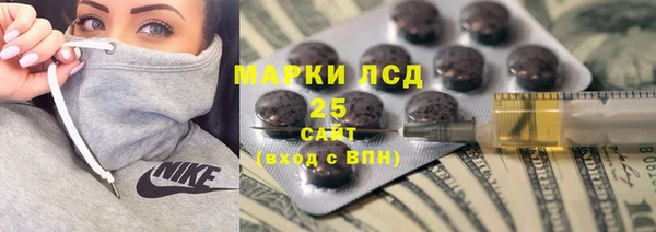 винт Каменка