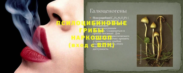 винт Каменка