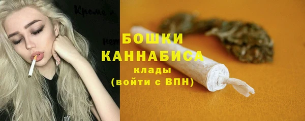 винт Каменка