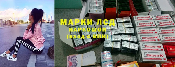 винт Каменка
