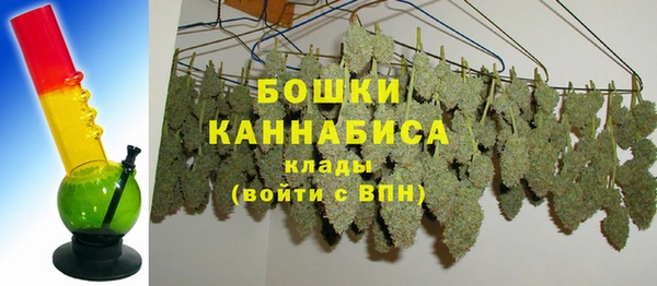 ПСИЛОЦИБИНОВЫЕ ГРИБЫ Каменногорск