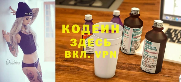 винт Каменка