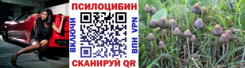 Купить  Змеиногорск  Псилоцибиновые грибы мухоморы 